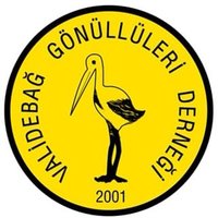 ValidebağGönüllüleri(@validebagGonull) 's Twitter Profile Photo