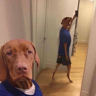 baxelc30's profile picture. Just trying to figure it out