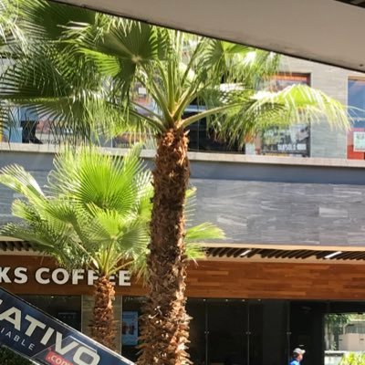 outofmysystem__'s profile picture. 