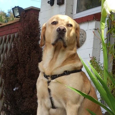 tammidoyle1201's profile picture. .