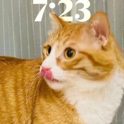 take_c0ffee's profile picture. 