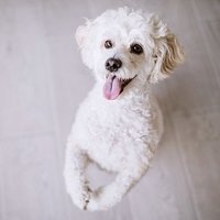 crypto gems (@hercryptohunter) 's Twitter Profile