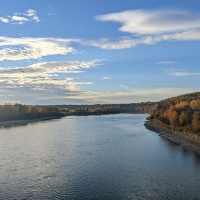 safifarooqi's profile picture. 