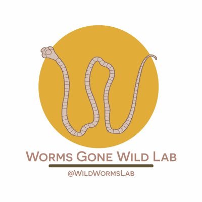 WildWormsLab Profile Picture