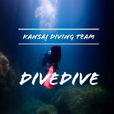 【いま、めちゃ熱いダイビングサークルDiveDive💥 】 2021年にサークル活動を開始し、今年で創立4年目🤿 一緒に最高の思い出を作りたい新メンバー大募集🐟DiveDiveだからできる特別体験をアナタもしませんか？メンバー全員が未経験からスタート✨ 興味がある人はDMで連絡くださーい👍