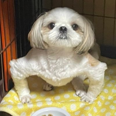 取引✊🏻 お取引で使用される方相互フォローのご協力お願いいたします🩵「みんな🪽になって」🩵