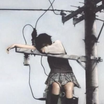 glosterwine's profile picture. 私は日本人ではありませんが猫が好きです