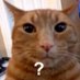 ? (@bbirdy003) Twitter profile photo ? (@bbirdy003) Twitter profile photo