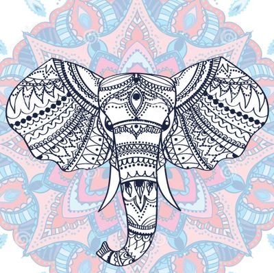 Yogini 💜🐘💜