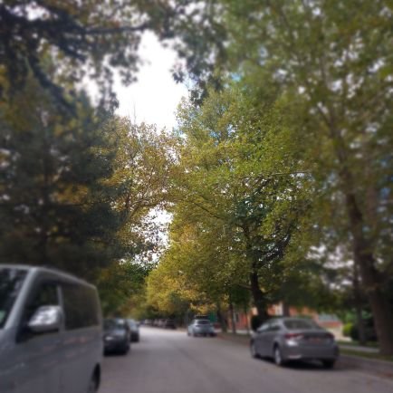 gonca_gulfem's profile picture. 