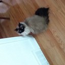 Alejandro Guardia - @Who_is_AlGarcia - Twitter