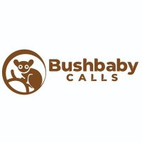 Bushbabycalls(@BushbabycallsBW) 's Twitter Profile Photo