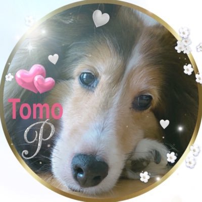 ToMo0411 Profile Picture