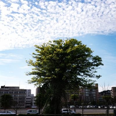 youso_I_64's profile picture. 