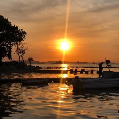 zynpabanoz's profile picture. Primum Non Nocere