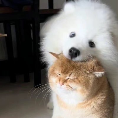 Gerioさんのプロフィール画像