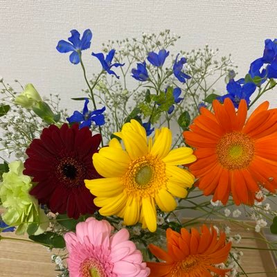 トラジャ応援垢🐯マイペースでやっていきます📣ほぼいいね・RT🌿無言フォロー失礼します🙇♀️同目的の方フォロバ致します!フォローお気軽にどうぞ♪