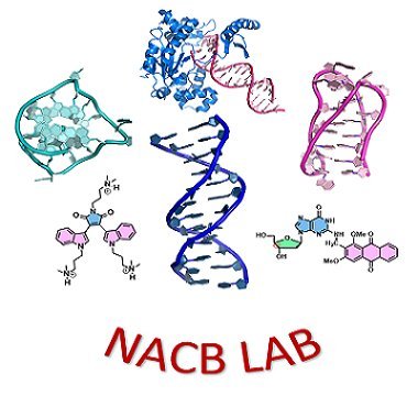 Research group of Prof. Pradeepkumar P.I. at @IITBombay. We specialize in the synthesis, biophysical, cellular and molecular dynamics studies of nucleic acids.