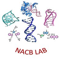 Nucleic Acids Chemical Biology Lab, IIT Bombay(@NACB_IITB) 's Twitter Profile Photo