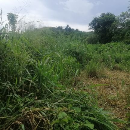 iamVhicIdano's profile picture. freelance architect