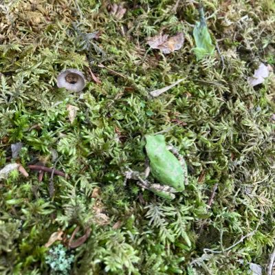 mwOdqv7SNQCoerE's profile picture. 二児の母ですがコスメが好きです！スキンケア、ヘアケアが好きで自分のお手入れ頑張っています。のんびりゆるっとレビュー活動しております。