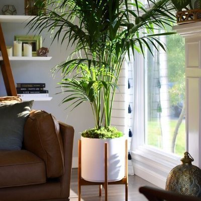 M93279676's profile picture. 