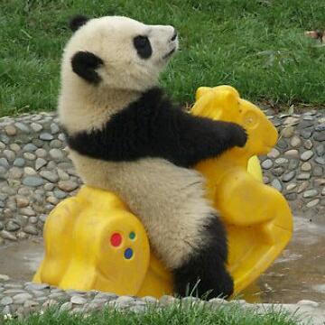 i_am_dano's profile picture. 