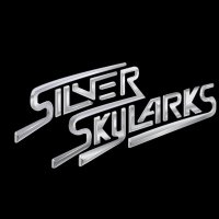 SilverSkylarks (@silverskylarks) 's Twitter Profile