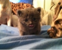 Heathkrae's profile picture. Hockey fanatic