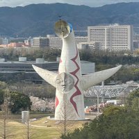 Piro (@piro20221014) 's Twitter Profile