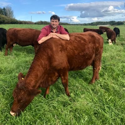 @essebeare. 1st gen regen, low input, certified @pastureforlife & Organic, Meadows, herbal leys, Lleyns, Ruby cattle, CO2capture building OM since 2013, Devon.