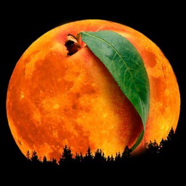 smokevillage's profile picture. Pizza, Crypto, Spaghetti, Lunc, Lasagne, Ustc...