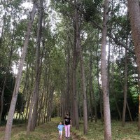 Hilal Meral (@hilalmeral1) Twitter profile photo