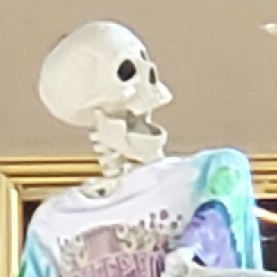 -I combine words to make a funny.
-Traumatized by the caveman on Spaceship Earth at age 7.
-An angry little skeleton who wants to make the world laugh.
He/Ha