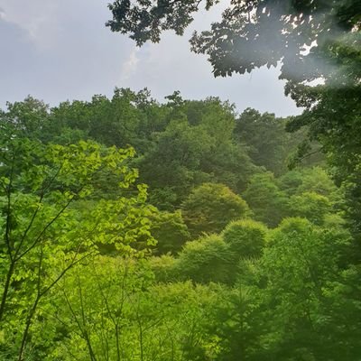 영어! 쉽습니다! 수능영어 한방에! 업무영어 한방에! 연락주세요!!
초등, 중등, 고등 영어가 싫다면 연락!
성인, 영어 인터뷰가 걱정된다면 연락!
영어소설을 읽고 싶은데, 이해가 안된다면 연락!
영어의 기본 문법 6회로 끝내고, 영어를 국어처럼! :-)
서울