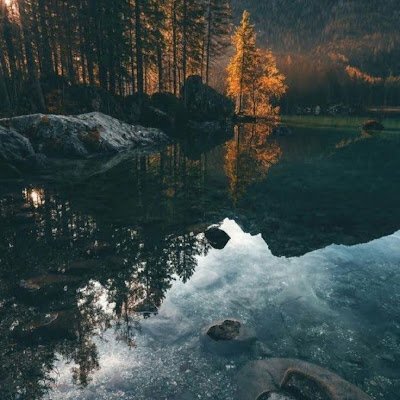 kingpoo56739523's profile picture. 