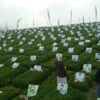 رامي السالمي (@abwly62894984) 's Twitter Profile