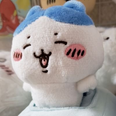 年中寝不足の菊恋🥤やっぴー(`･ω･ )さんのプロフィール画像