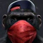 bigz (@temporaryuser27) 's Twitter Profile