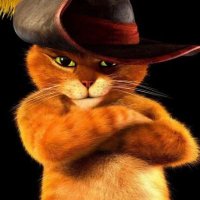 Puss in Boots(@Teo7913) 's Twitter Profile Photo