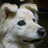 torotoronya's profile image