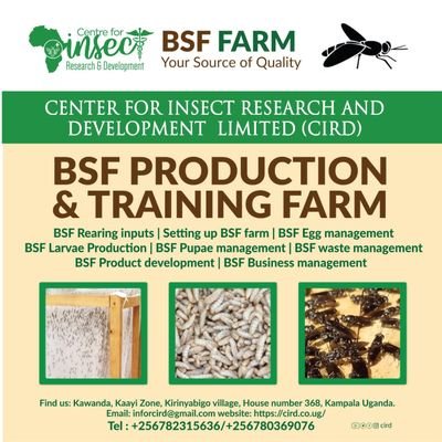 Center of excellence in research and development of insect products. #bsf #uganda