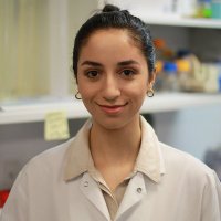 Kariman Shama (@kari_shama) 's Twitter Profile