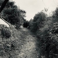 OldHarbourPress (@oldharbourpress) 's Twitter Profile