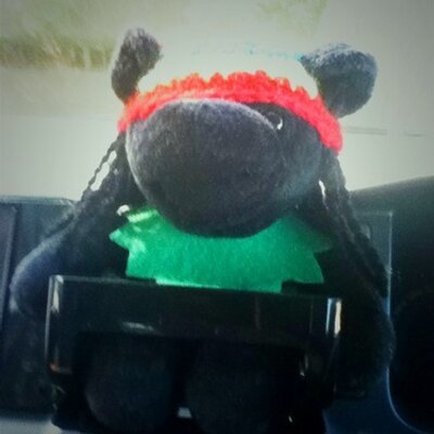 GOGOGOMES's profile picture. 興味のあることを適当にやってみようと思ってるよ。まだうまくできないけども。。。