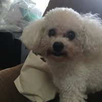 ふーちゃんRS (@jkeneedoop1957) Twitter profile photo