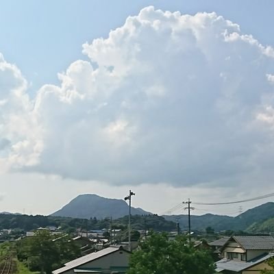 7tougarashi7's profile picture. 