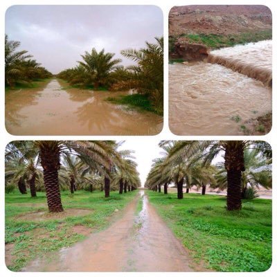 الحياة قصيرة جدا @ وعلمتني أن أجعل قلبي مدينة بيوتها المحبة وطرقها العفو والتسامح
