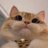 ldln__o's profile image