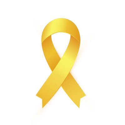 Find a cure 💛
Raising awareness one step at a time👣
Go gold💛💛
Our Children worth more than 3.8%💯
No negativity🚫🚫
16 year old advocate💛